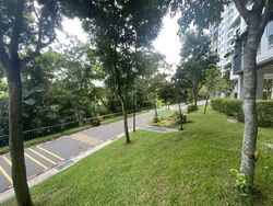Blk 476B Hougang Capeview (Hougang), HDB 4 Rooms #583922541